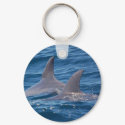 dolphines keychains by AEDPhotography dolphines keychains