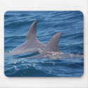 dolphines mousepads by AEDPhotography dolphines mousepads
