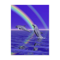 Dolphinity postcards