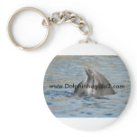 Dolphinlove!, www.Dolphinhugs4u2.com Key Chains