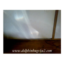 Dolphins1, www.dolphinhugs4u2.com postcards