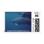 Dolphins 022, DolphinPortraits@hotmail.com Postage Stamps