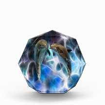 Dolphins and fractal crystals awards