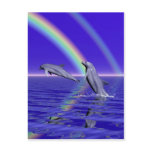 Dolphins and Rainbow Post Cards