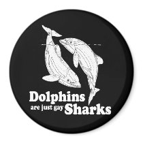 Dolphins are just gay sharks magnets