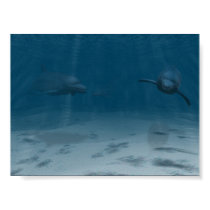 Dolphins at Play posters
