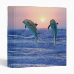 Dolphins at sunrise 3 ring binder