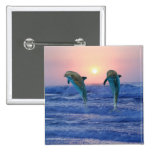 Dolphins at sunrise buttons