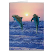 Dolphins at sunrise greeting cards