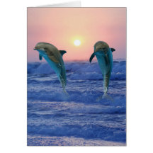 Dolphins at sunrise greeting cards