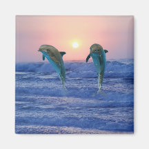 Dolphins at sunrise magnet