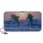 Dolphins at sunrise mp3 speaker