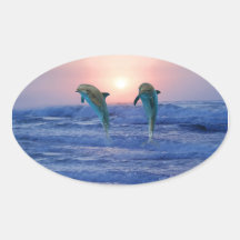 Dolphins at sunrise oval stickers
