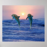 Dolphins at sunrise poster