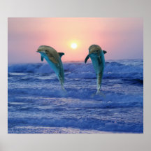 Dolphins at sunrise poster
