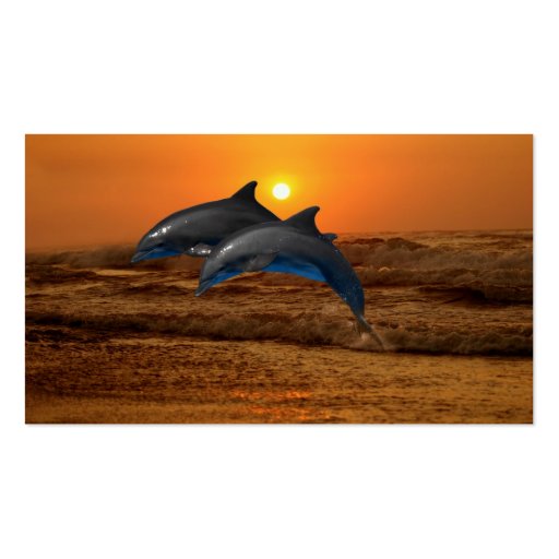 Dolphins at sunset business card (back side)