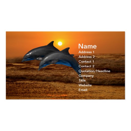 Dolphins at sunset business card (front side)