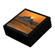 Dolphins at sunset giftbox