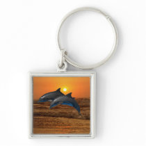 Dolphins at sunset keychains