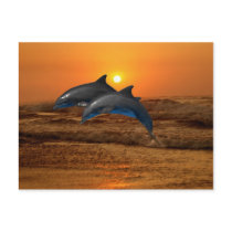 Dolphins at sunset postcards