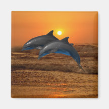 Dolphins at sunset refrigerator magnets
