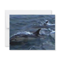 Dolphins at the boatside invitations
