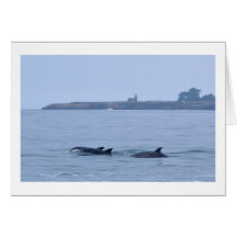 Dolphins at The Lighthouse-Blank Greeting Card