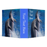 Dolphins Back To School Binder