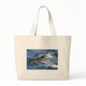 dolphins bags