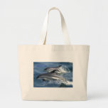 dolphins bag