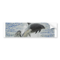 Dolphins Bumper Stickers