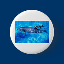 dolphins buttons