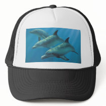 Dolphins by Andrew Patsalou hats