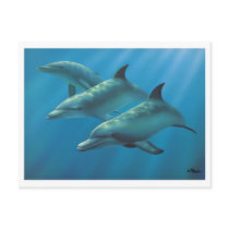 Dolphins by Andrew Patsalou postcards by AndrewPatsalou Dolphins by Andrew Patsalou postcards
