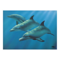 Dolphins by Andrew Patsalou posters