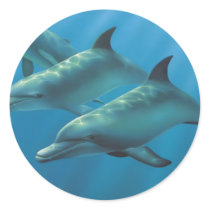 Dolphins by Andrew Patsalou stickers