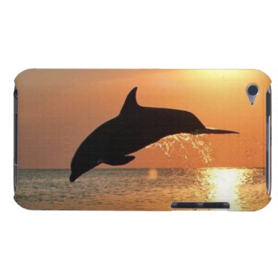 Dolphins by Sunset Case-Mate iPod Touch Case