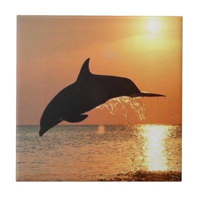 Dolphins by Sunset Ceramic Tile