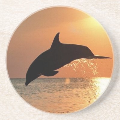 Dolphins by Sunset Drink Coasters