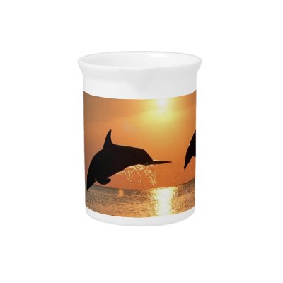 Dolphins by Sunset Drink Pitchers