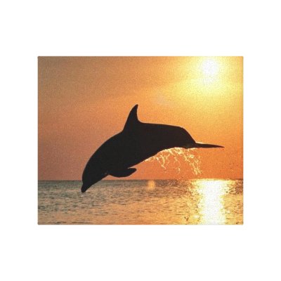 Dolphins by Sunset Gallery Wrapped Canvas