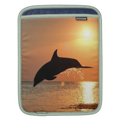 Dolphins by Sunset iPad Sleeves