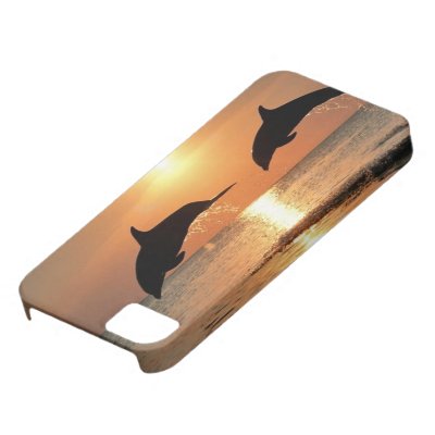 Dolphins by Sunset iPhone 5 Cover
