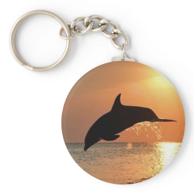 Dolphins by Sunset Keychain