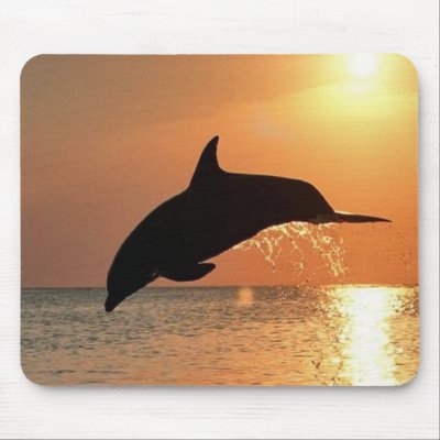 Dolphins by Sunset Mouse Pads