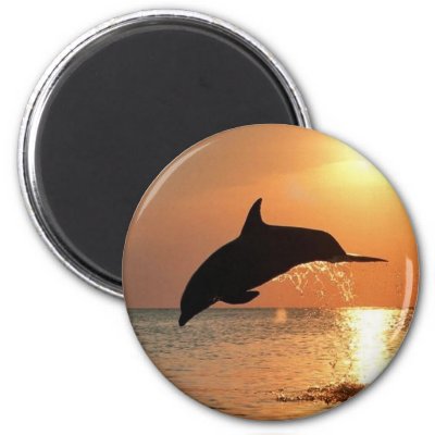 Dolphins by Sunset Refrigerator Magnet