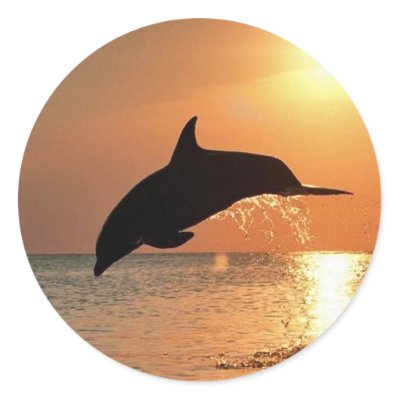 Dolphins by Sunset Round Stickers
