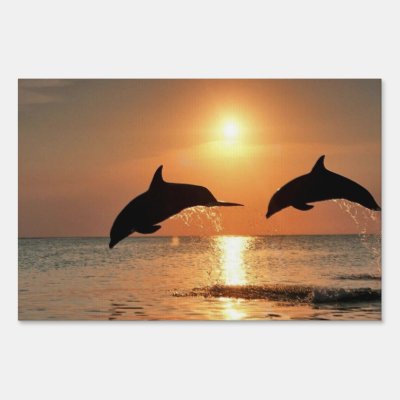 Dolphins by Sunset Yard Sign