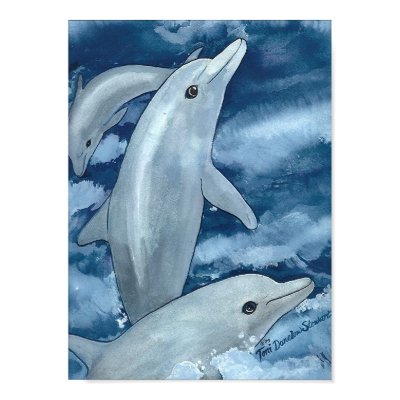 Dolphins by Toni Donelow Stewart Print by ttonids