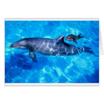 dolphins greeting card